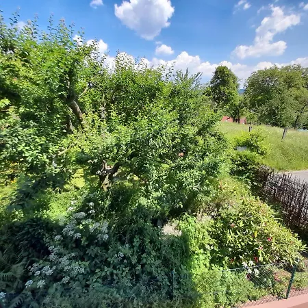 Ferien- Und Monteurwohnung Tina Mörlenbach Esterno foto